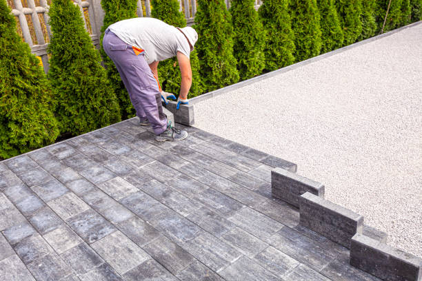 Best Best Driveway Pavers  in Jackson, MN